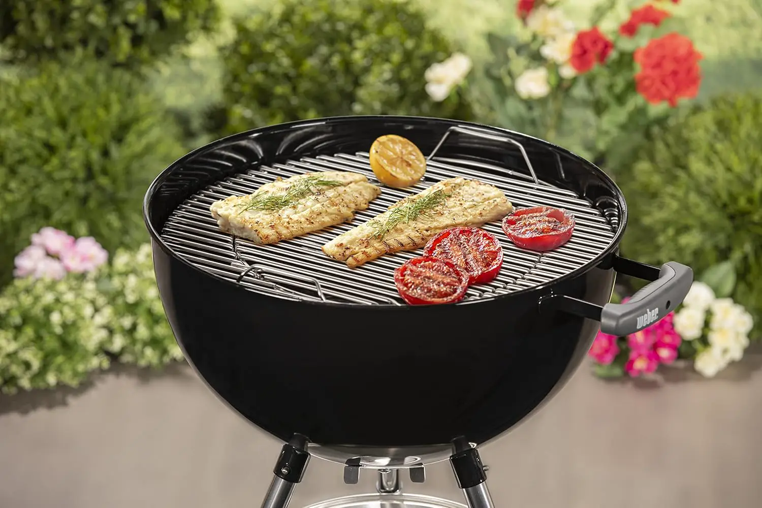 Barbecue weber en acier 69 x 57 vue 10
