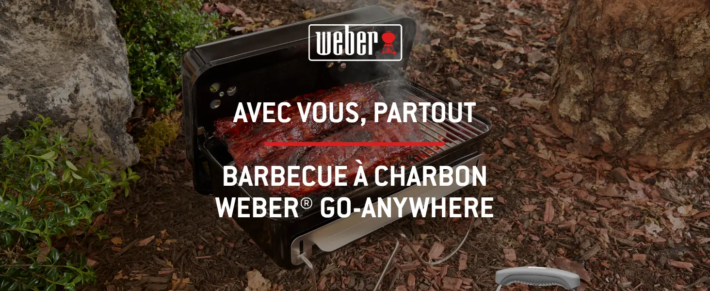 Barbecue weber 4 places en acier noir 42 x 26 cm — contenu détaillé 1