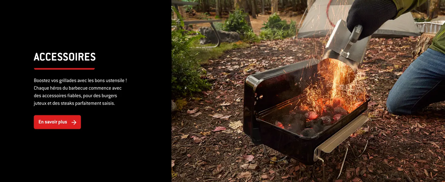 Barbecue weber 4 places en acier noir 42 x 26 cm — contenu détaillé 10