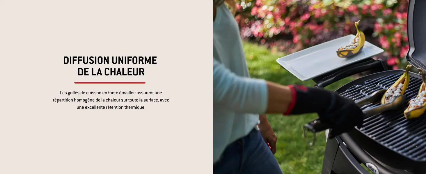 Barbecue weber en aluminium 70 x 40 — contenu détaillé 8