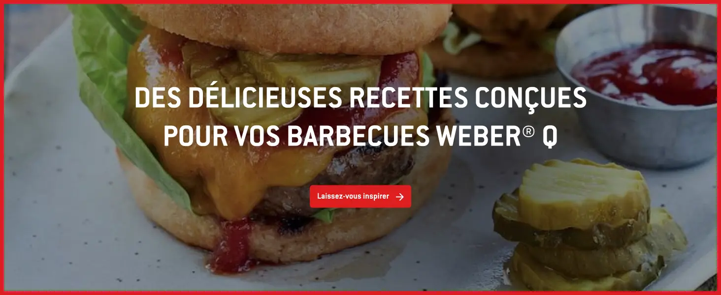 Barbecue weber en aluminium 70 x 40 — contenu détaillé 10
