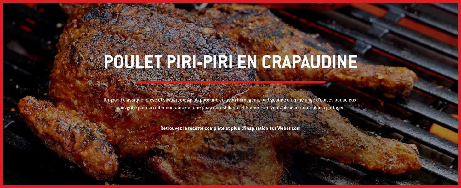 Barbecue weber en aluminium 70 x 40 — contenu détaillé 12