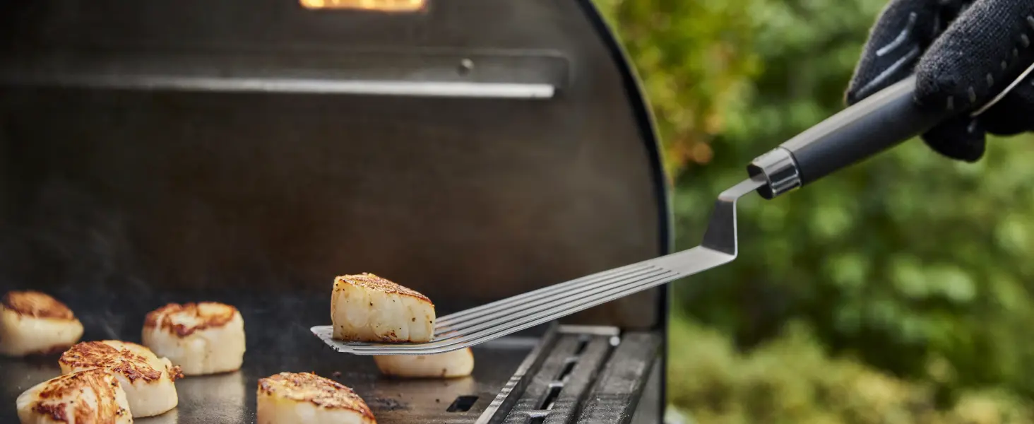 Barbecue weber en aluminium 70 x 40 — contenu détaillé 16