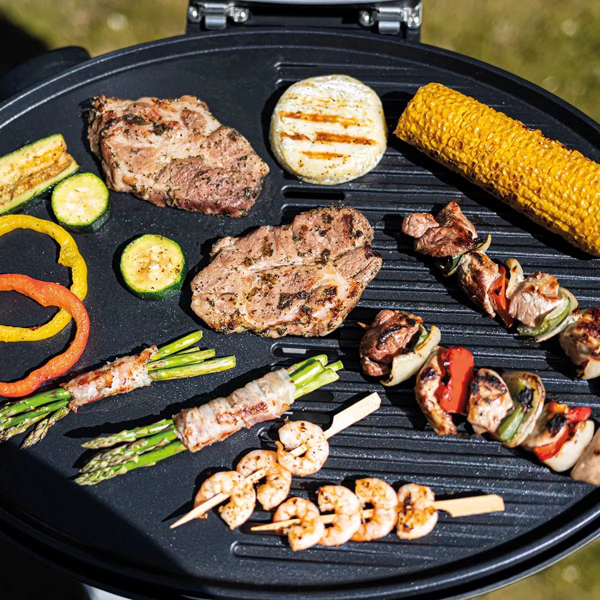 Barbecue électrique 53 x 39 cm vue 8
