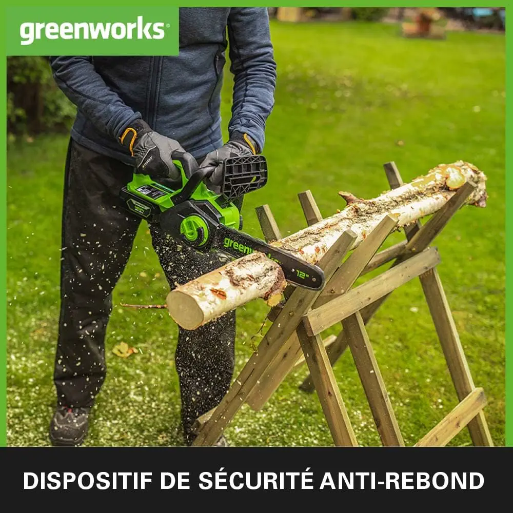 Tronçonneuse à batterie en acier vue 5