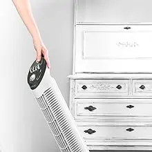 Ventilateur noir — contenu détaillé 6