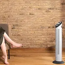 Ventilateur noir — contenu détaillé 8
