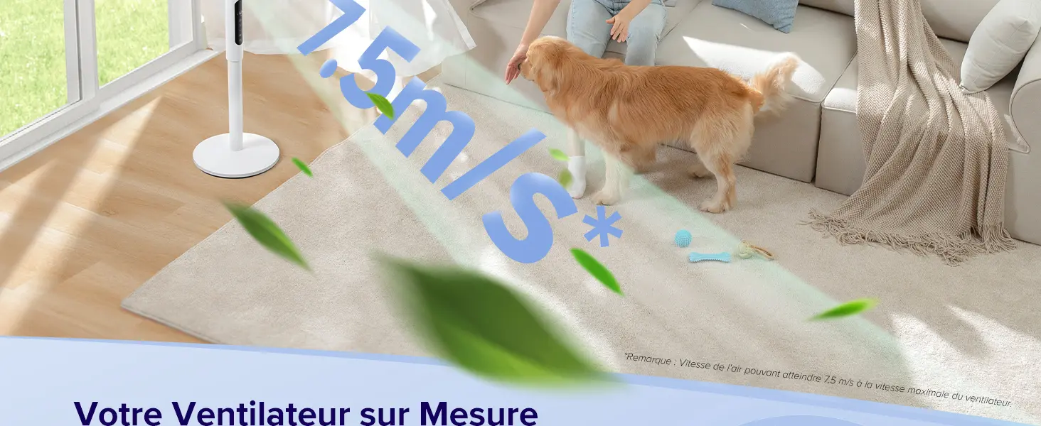 Ventilateur LEVOIT Ventilateur sur Pied 20 dB Silencieux — contenu détaillé 5