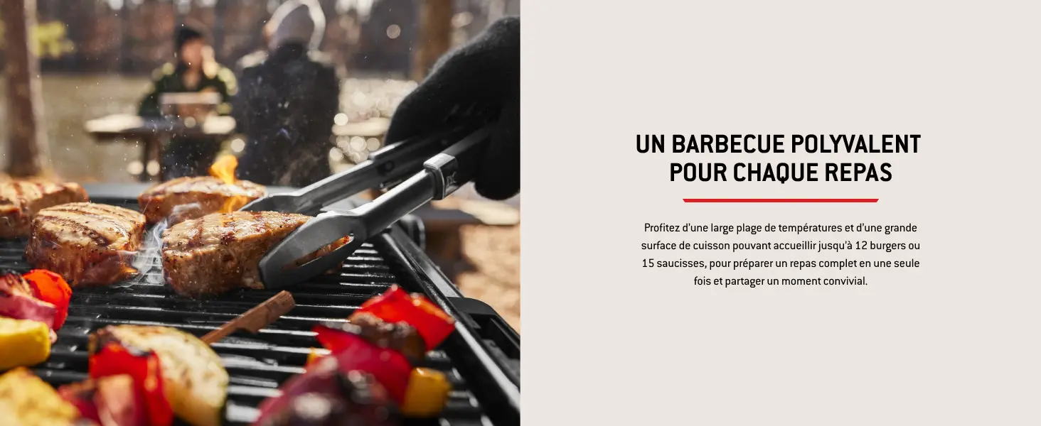 Barbecue weber 4 places en acier noir 52 x 36 cm — contenu détaillé 7