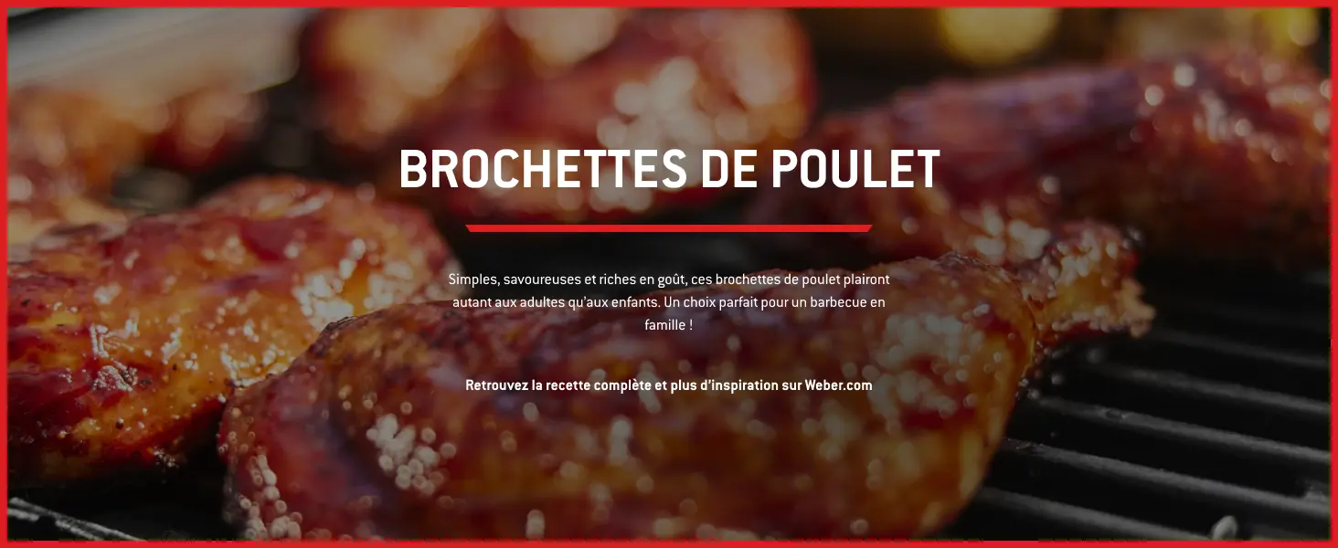Barbecue weber 4 places en acier noir 52 x 36 cm — contenu détaillé 13