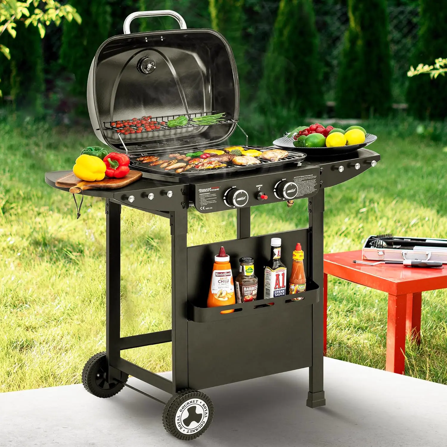 Barbecue à gaz en acier noir 23,5 x 37,4 cm vue 9