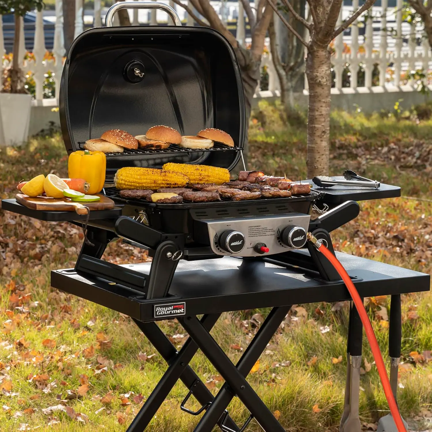 Barbecue à gaz en acier 48 x 37 cm vue 2