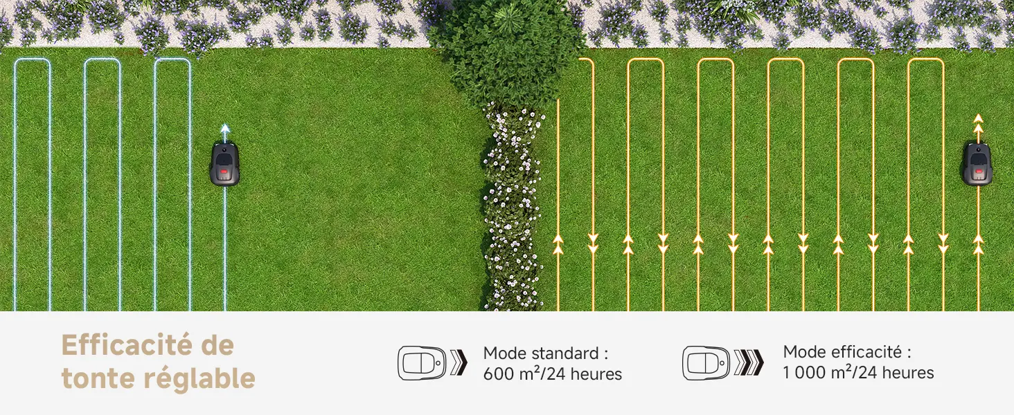 Tondeuse autoportée 800 m² — contenu détaillé 9