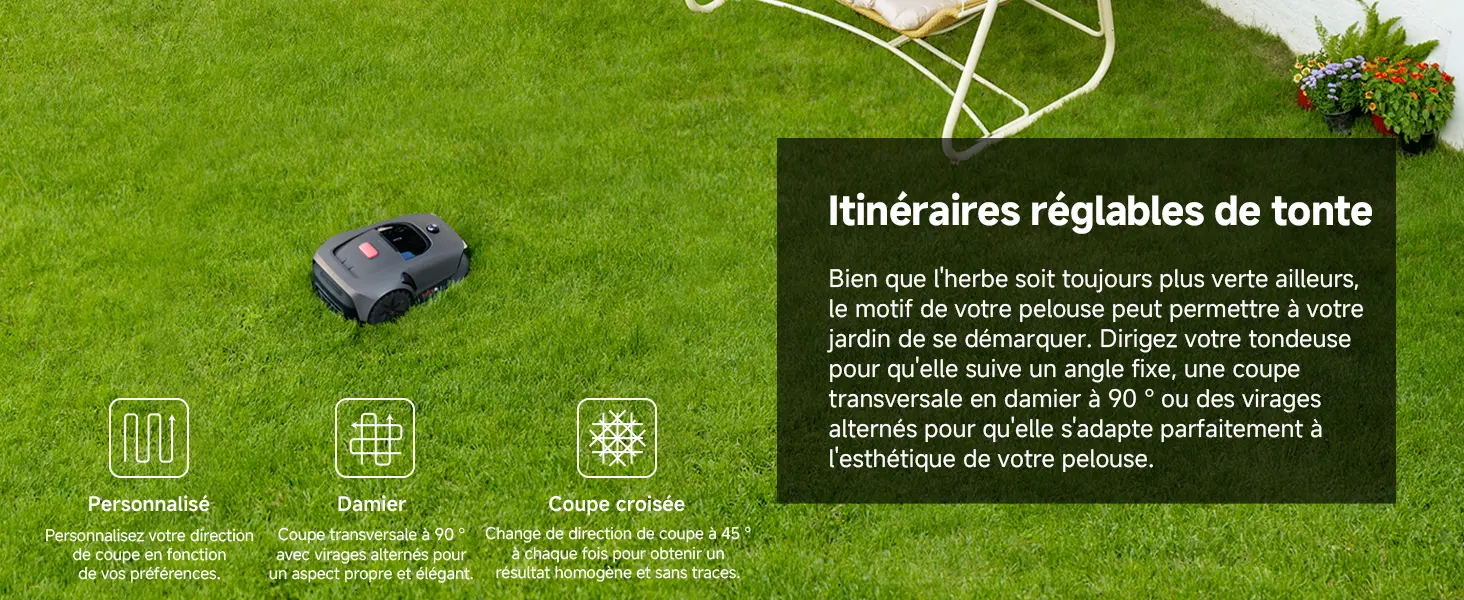 Tondeuse autoportée 800 m² — contenu détaillé 10