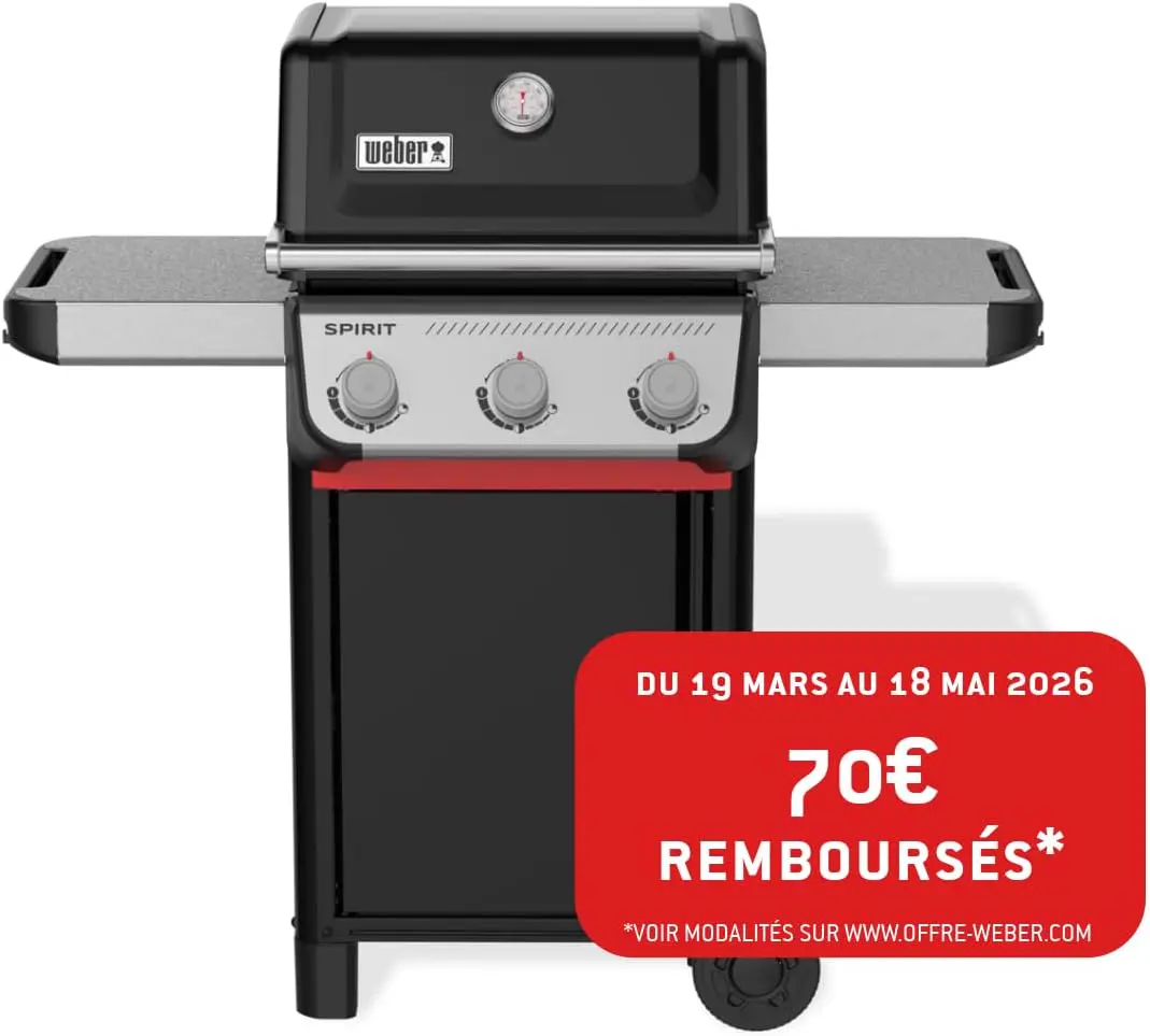 Barbecue weber 5 places en aluminium noir 51 x 46 cm vue 2