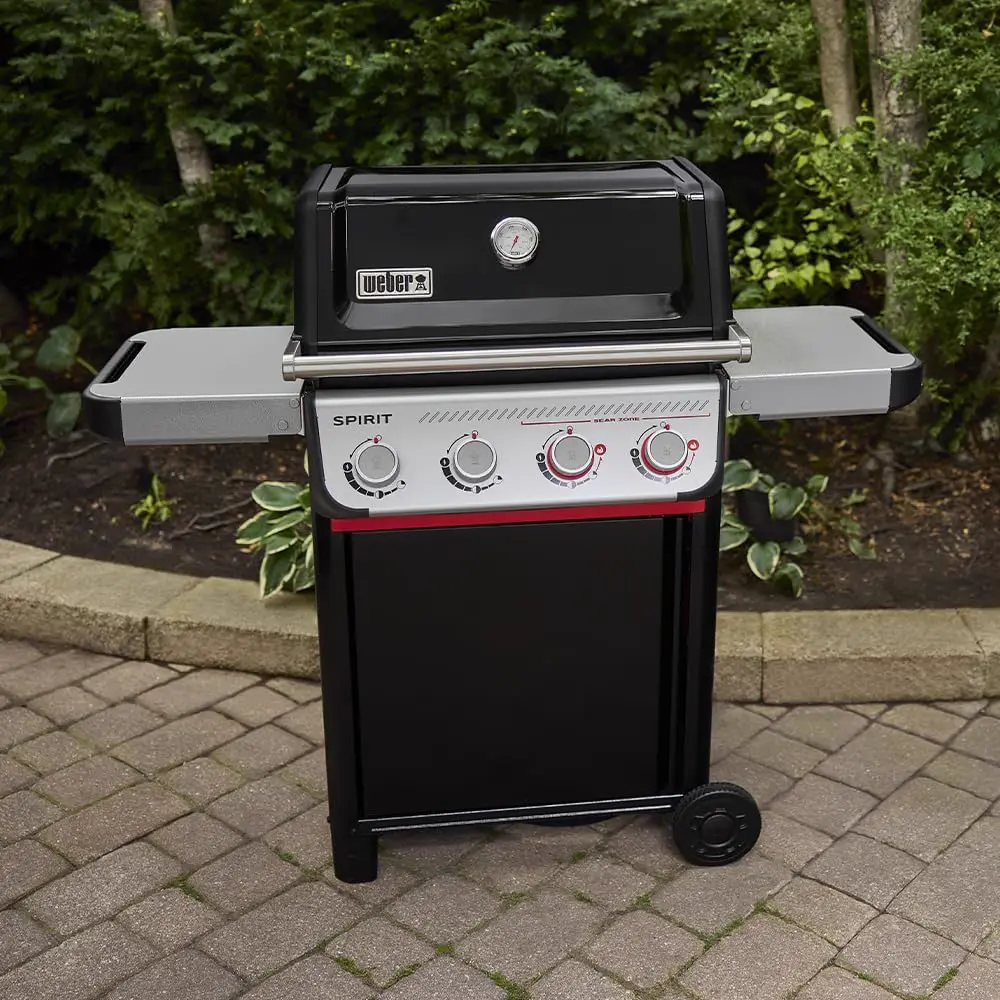 Barbecue weber en acier vue 2