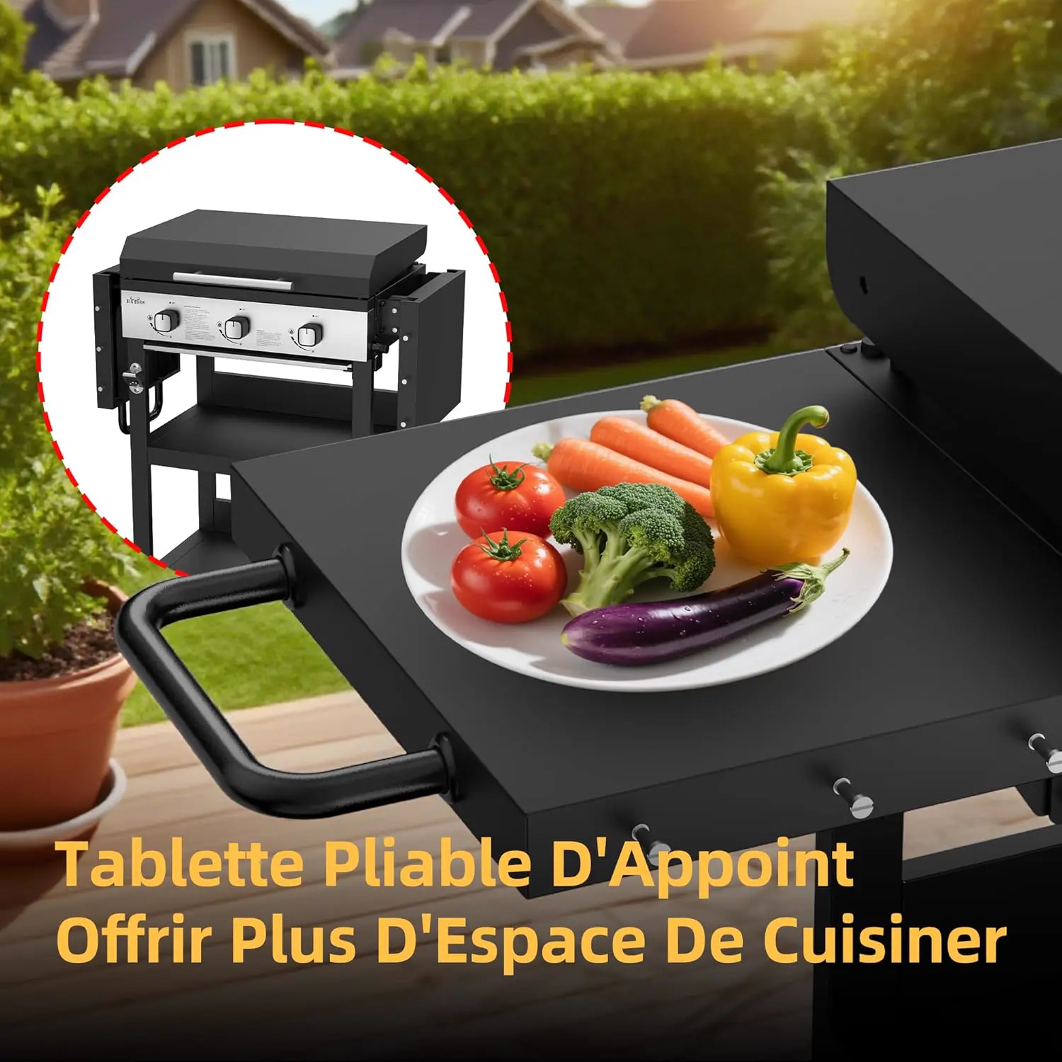 Plancha en acier 52,6 x 36 cm vue 6