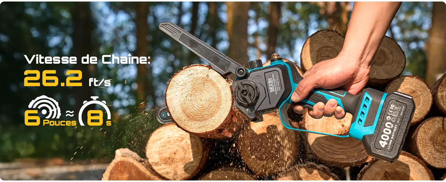Tronçonneuse à batterie 2 × 4000 — contenu détaillé 5