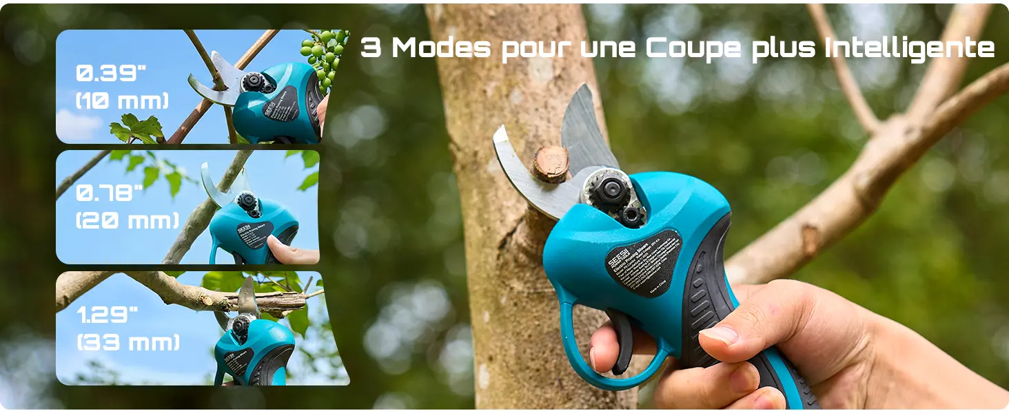 Tronçonneuse à batterie 2 × 4000 — contenu détaillé 9