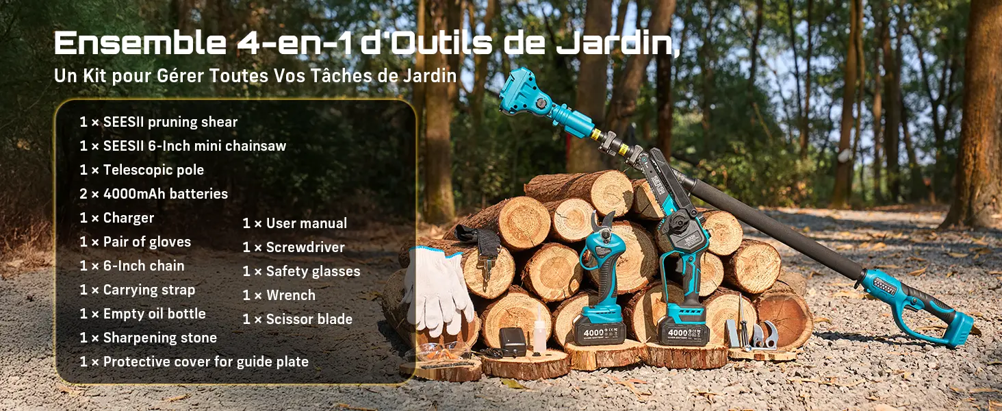 Tronçonneuse à batterie 2 × 4000 — contenu détaillé 11