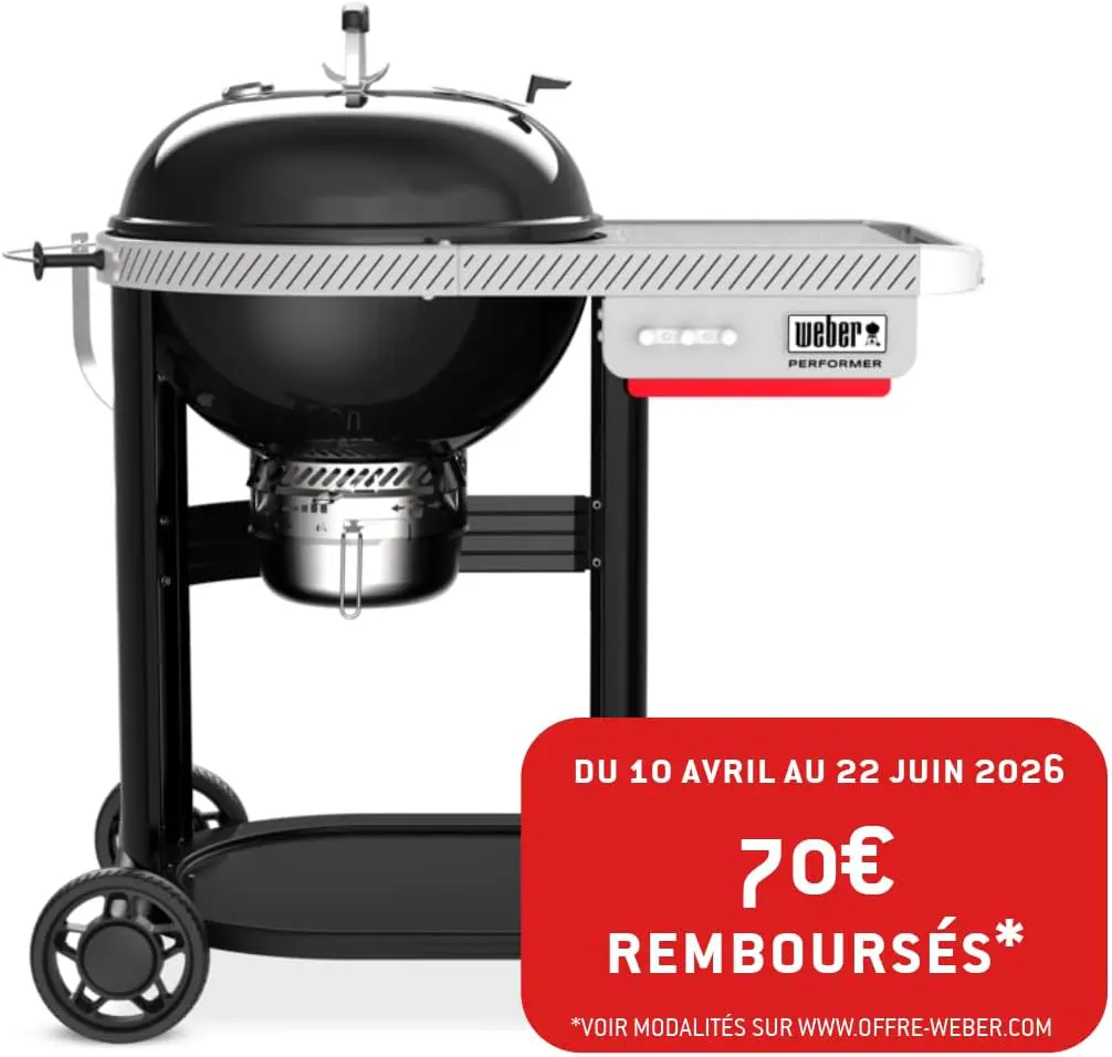 Barbecue weber 8 places en métal 71 x 102 vue 2