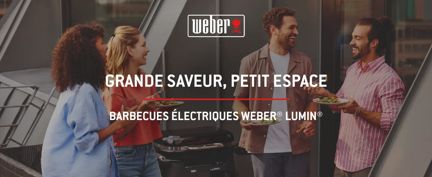 Barbecue weber noir 41,2 x 58,6 — contenu détaillé 1