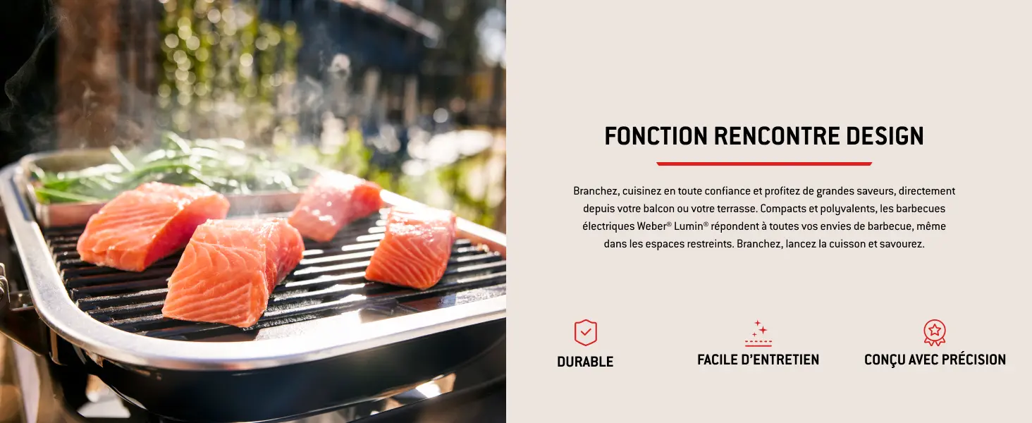 Barbecue weber noir 41,2 x 58,6 — contenu détaillé 2