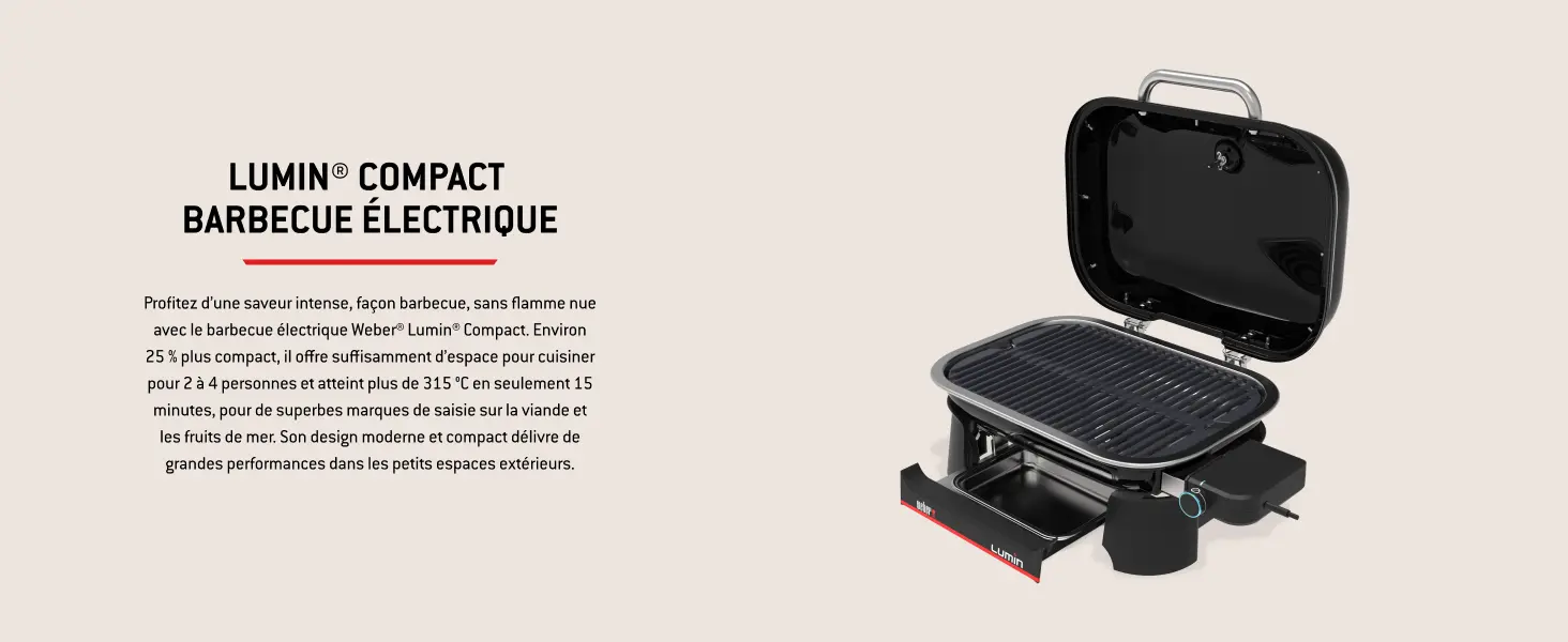 Barbecue weber noir 41,2 x 58,6 — contenu détaillé 3