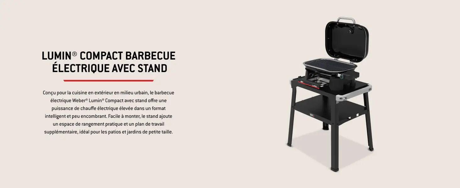 Barbecue weber noir 41,2 x 58,6 — contenu détaillé 4