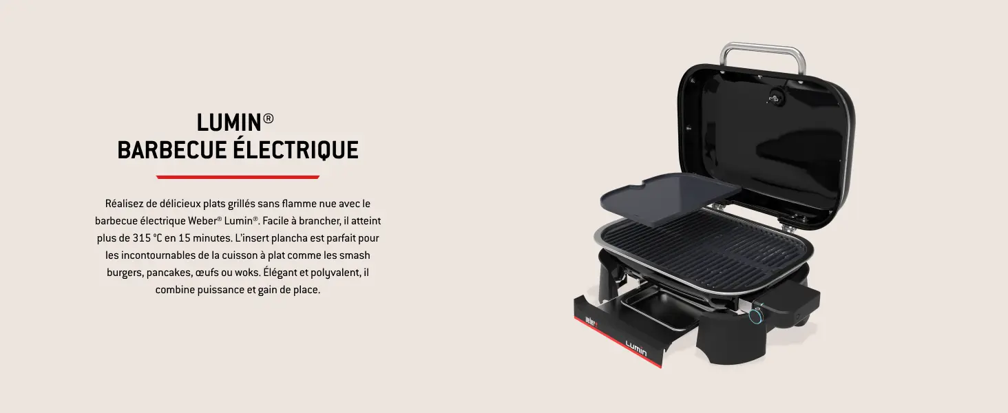Barbecue weber noir 41,2 x 58,6 — contenu détaillé 5