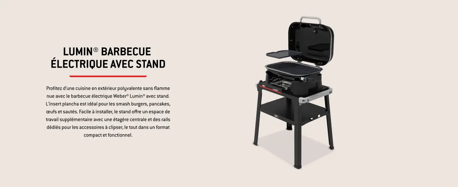 Barbecue weber noir 41,2 x 58,6 — contenu détaillé 6
