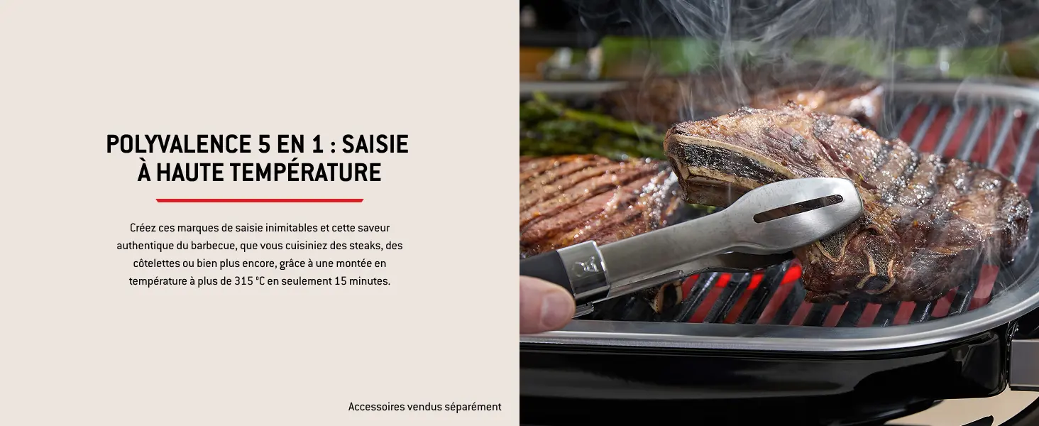 Barbecue weber noir 41,2 x 58,6 — contenu détaillé 7
