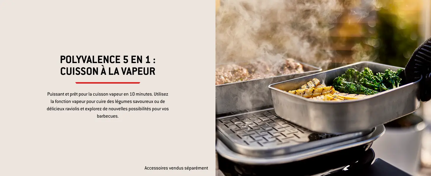 Barbecue weber noir 41,2 x 58,6 — contenu détaillé 8