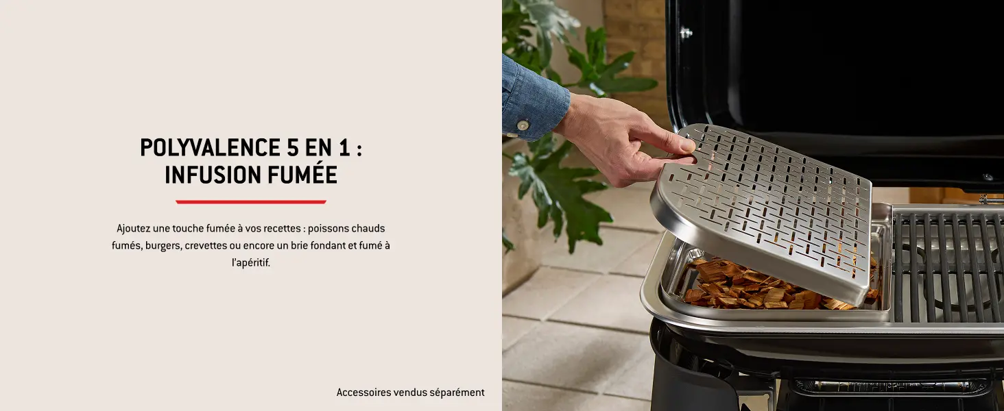 Barbecue weber noir 41,2 x 58,6 — contenu détaillé 9