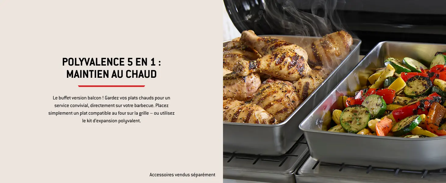 Barbecue weber noir 41,2 x 58,6 — contenu détaillé 10