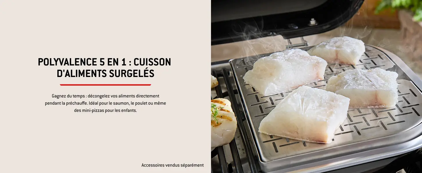 Barbecue weber noir 41,2 x 58,6 — contenu détaillé 11