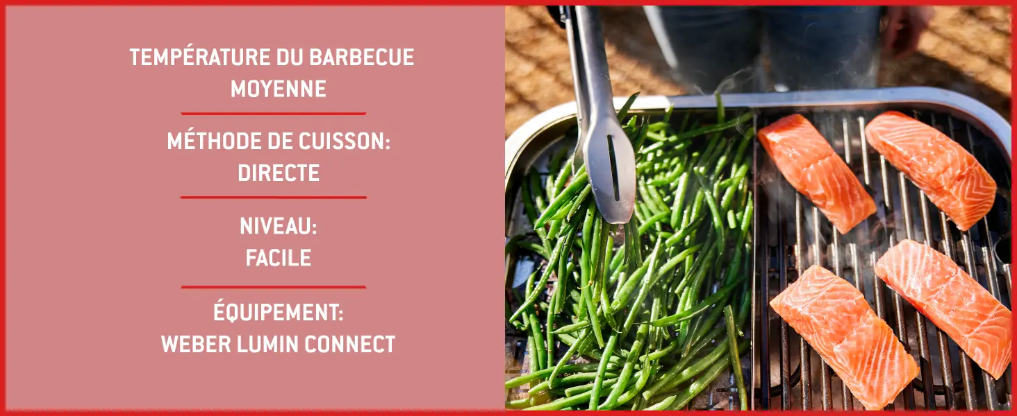Barbecue weber noir 41,2 x 58,6 — contenu détaillé 16