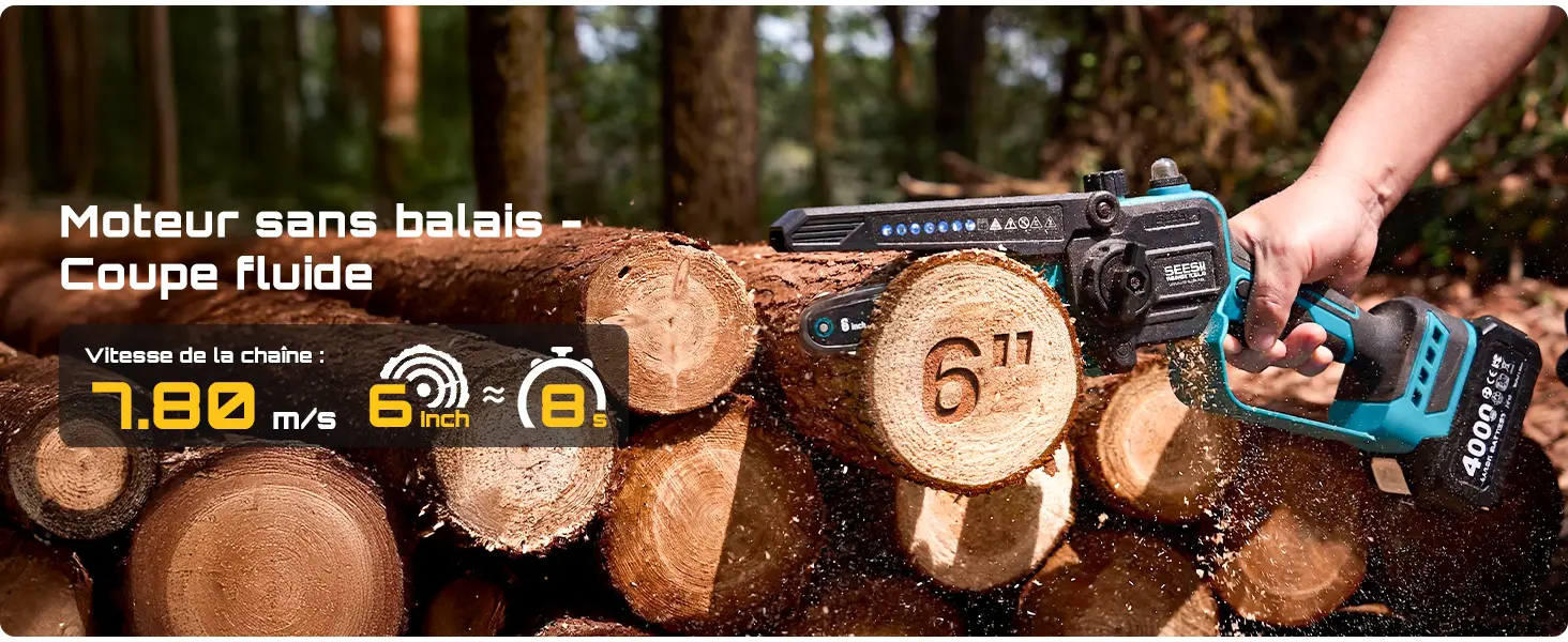 Tronçonneuse électrique 2 x 4,0 — contenu détaillé 4