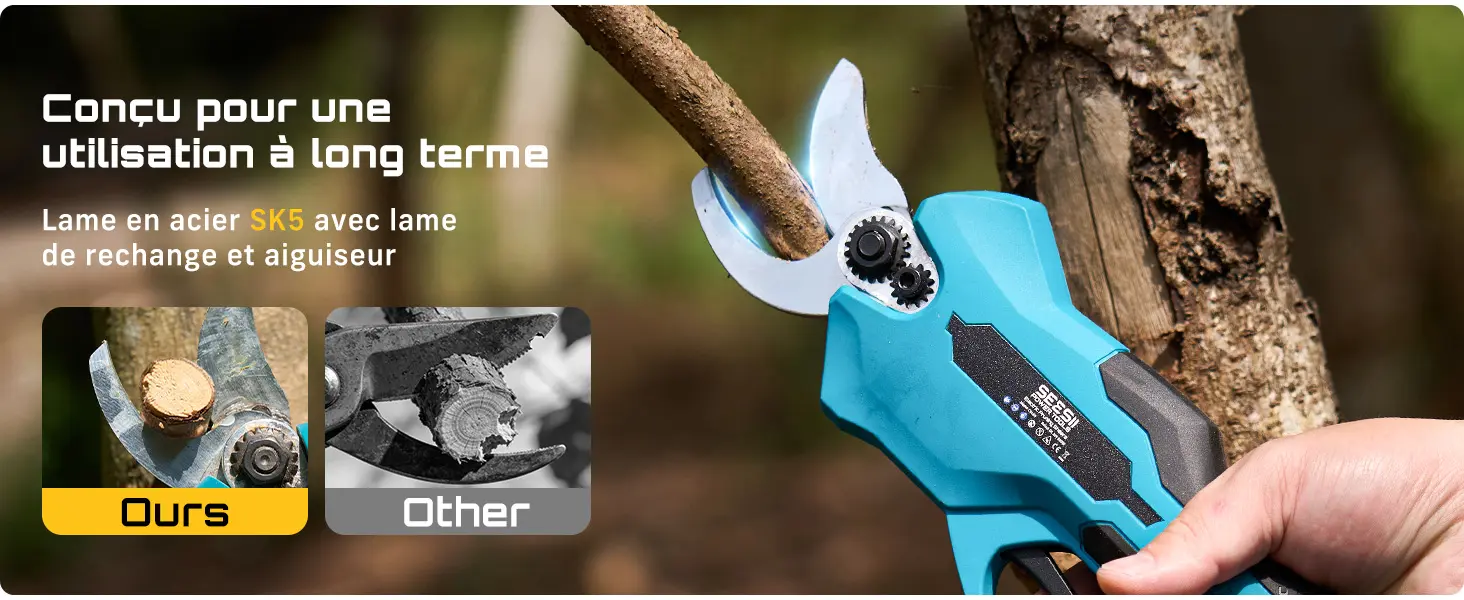 Tronçonneuse électrique 2 x 4,0 — contenu détaillé 13