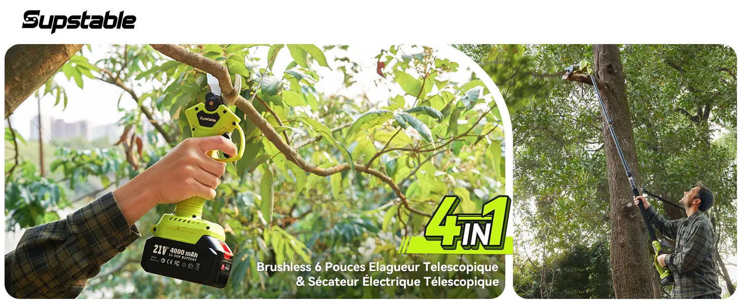 Tronçonneuse à batterie 2 x 4000 — contenu détaillé 1