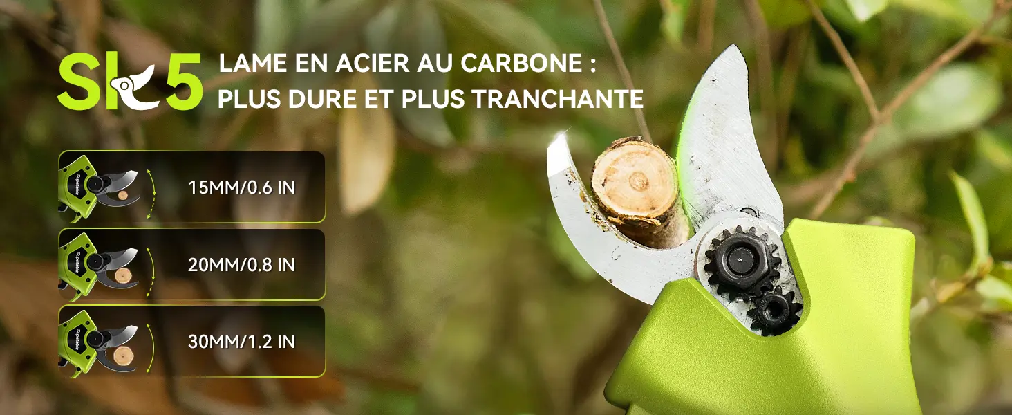 Tronçonneuse à batterie 2 x 4000 — contenu détaillé 2