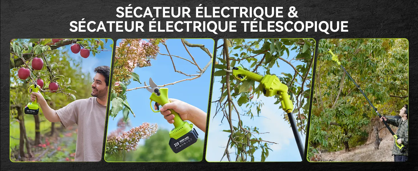 Tronçonneuse à batterie 2 x 4000 — contenu détaillé 7