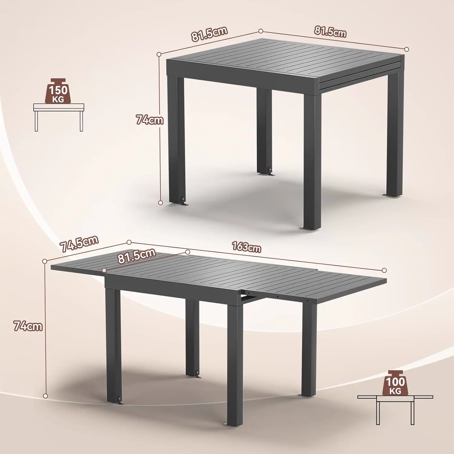 Table de jardin 10 places en aluminium 163x80cm vue 3