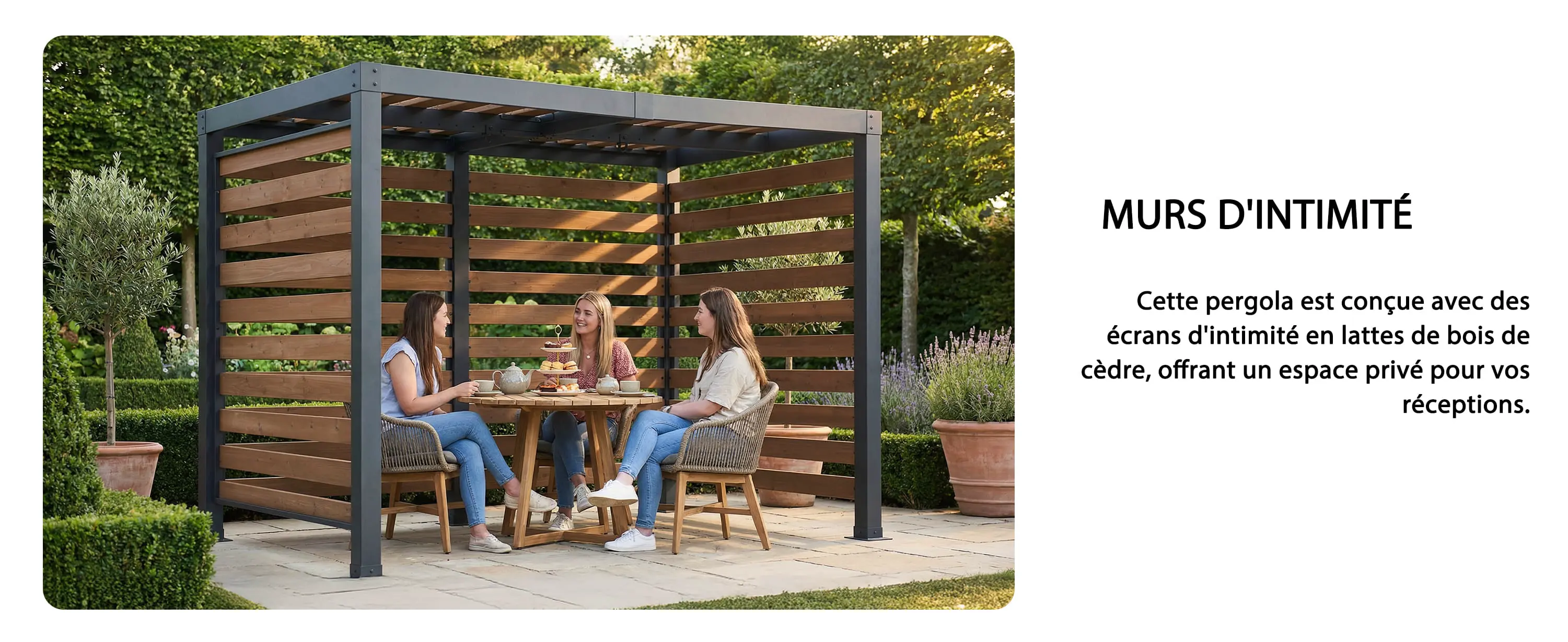 Pergola en métal 3x2 m — contenu détaillé 5