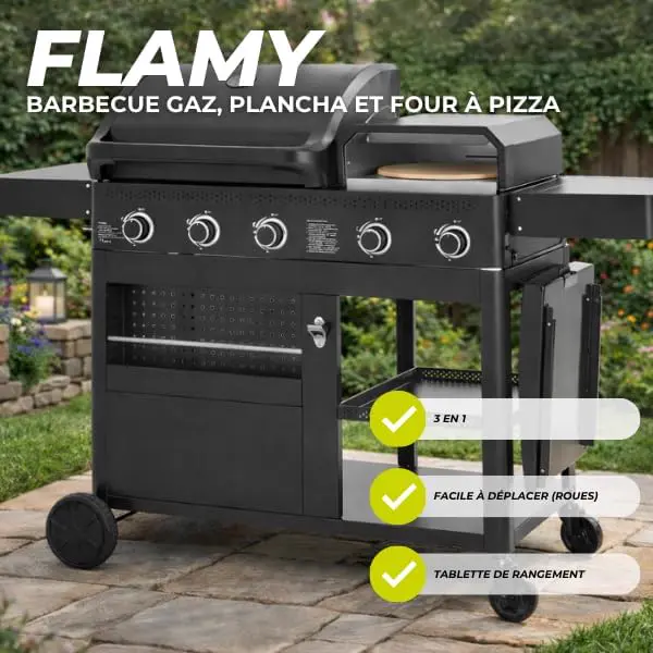 Barbecue à gaz en acier vue 5