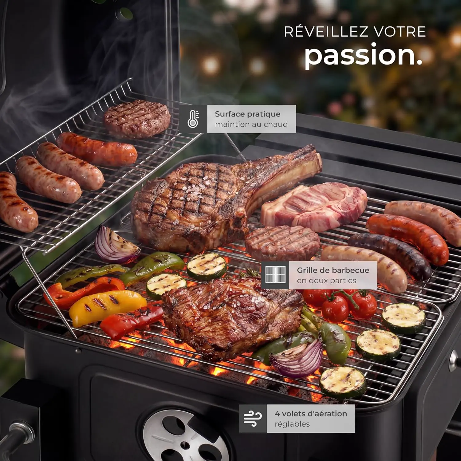 Barbecue weber en acier 64x104 cm vue 3